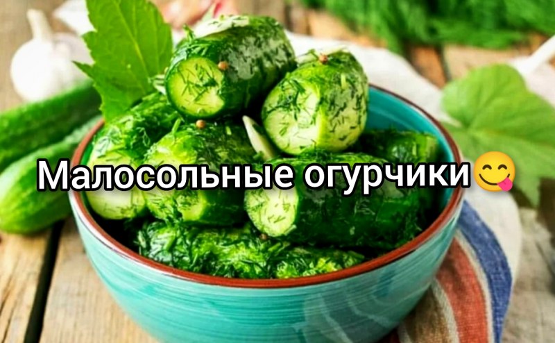 Малосольные огурцы с укропом