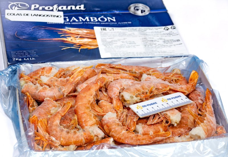Креветка langostino l1 с м Аргентина
