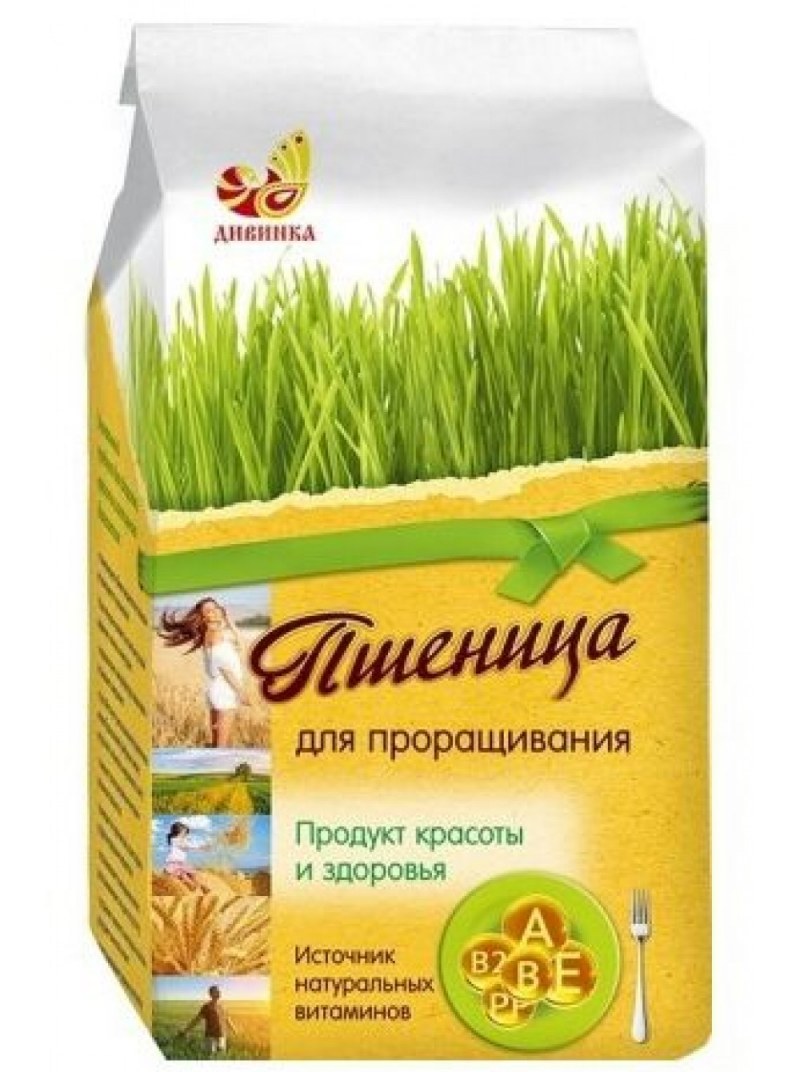 Пшеница для проращивания Дивинка