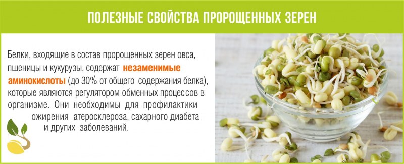 Витамины в пророщенной пшенице