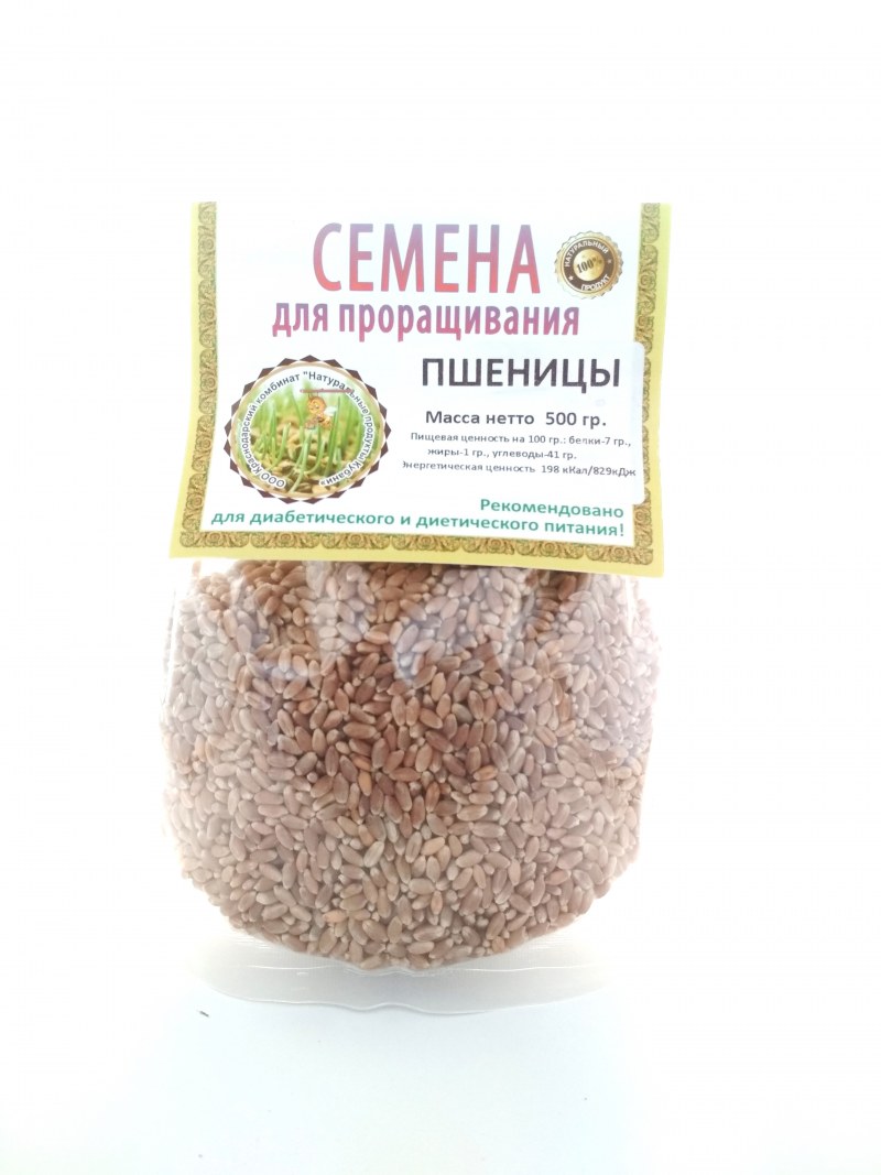 Пшеница для проращивания