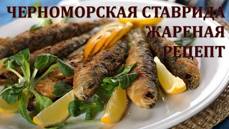 Ставрида атлантическая