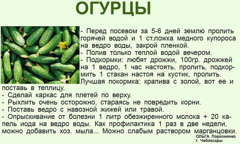 Салат с говядиной и болгарским перцем