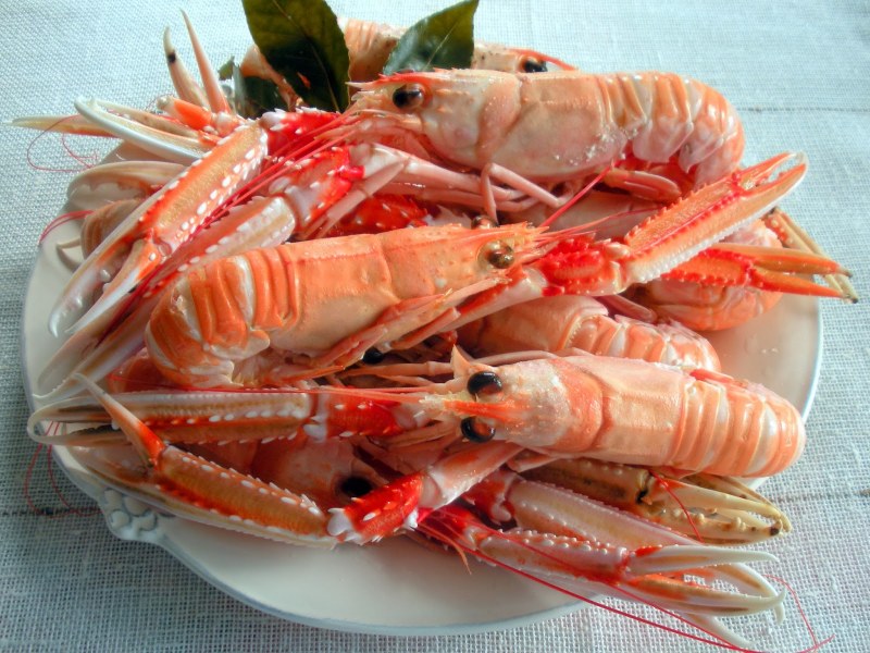 Лангуст скампи