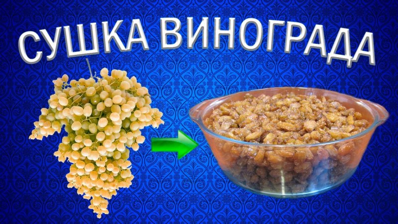 Молдавский Изюм