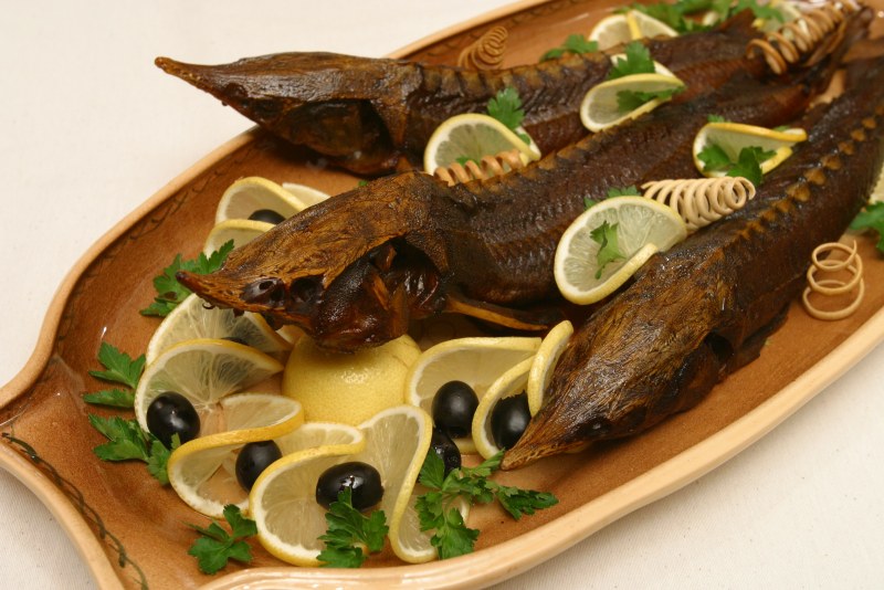 Шведский стол из морепродуктов