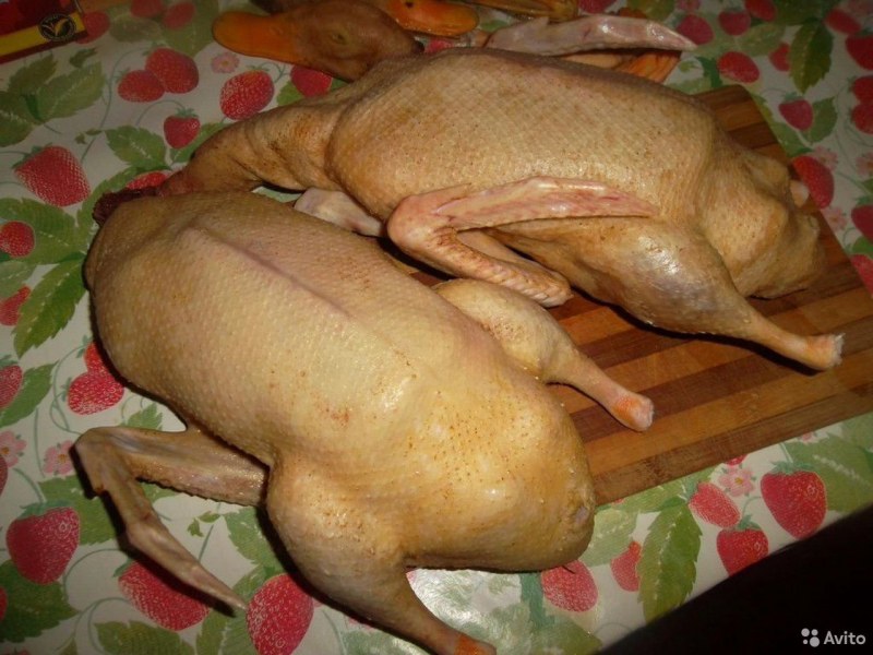 Тушка гуся