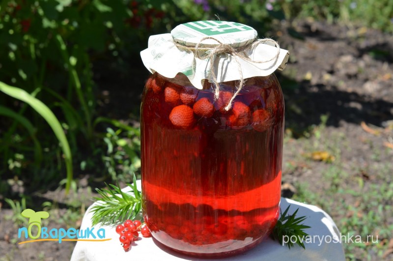 Компот из чёрной смородины