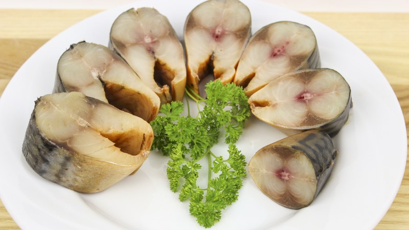 Смешная скумбрия