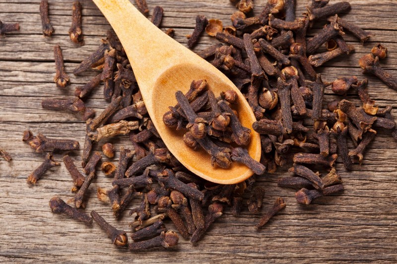 Clove сушеная гвоздика