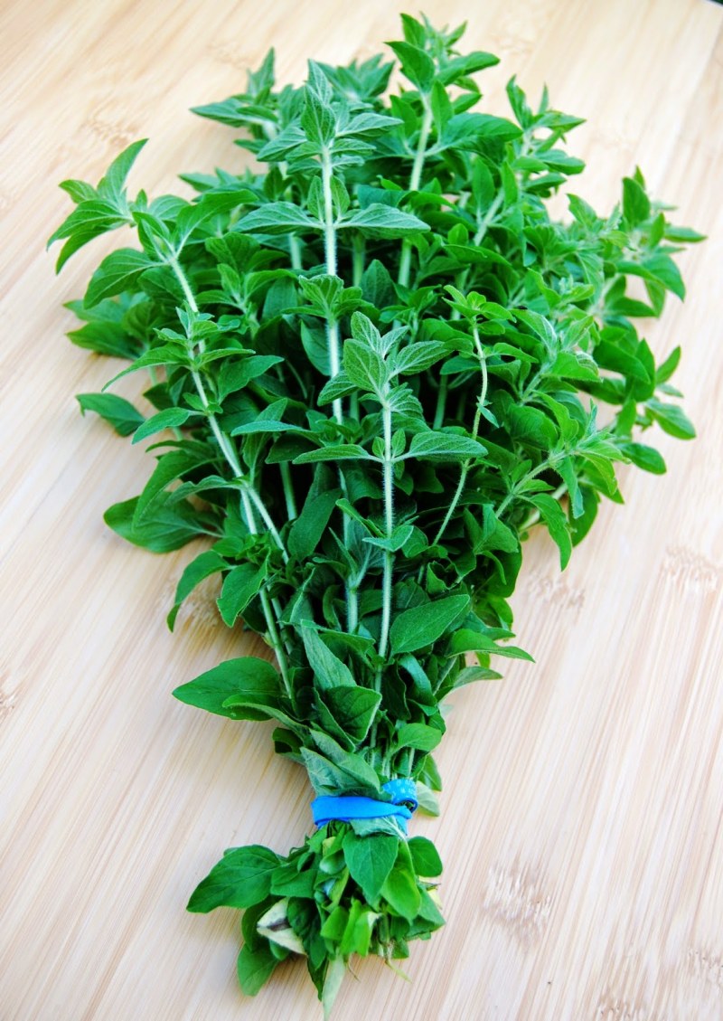 Орегано (лист)