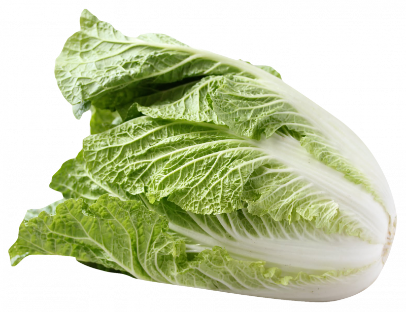 Cabbage пекинская капуста