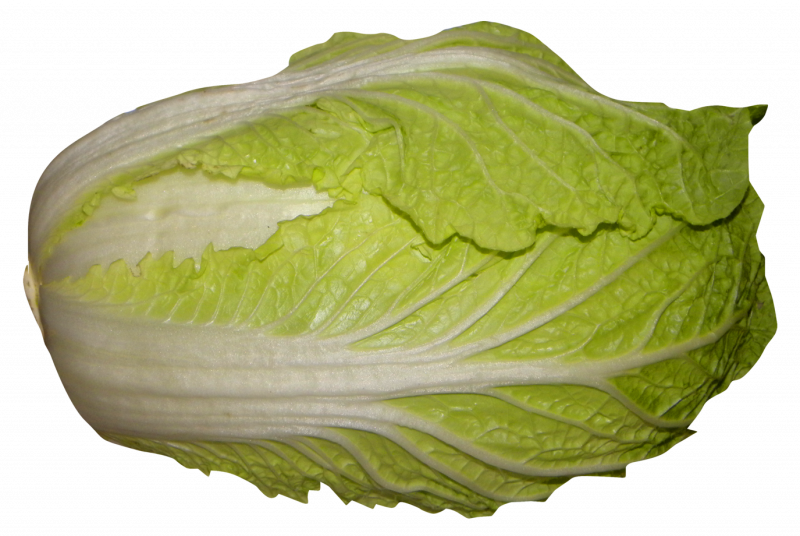 Romaine пекинская капуста