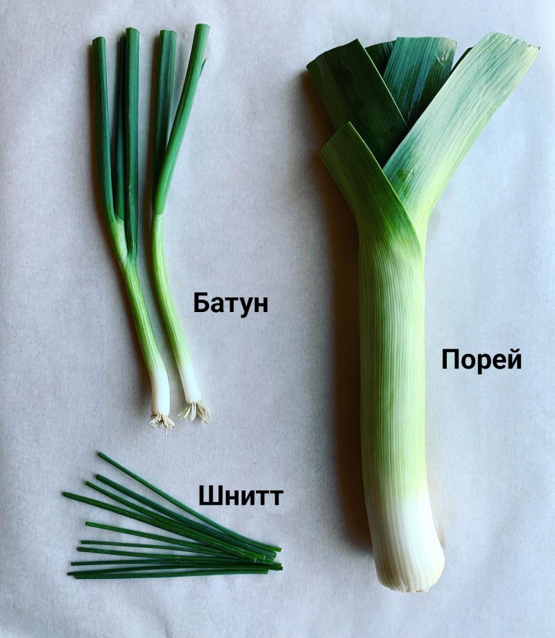 Лук порей в сливках