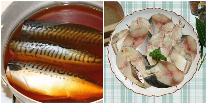 Рыба скумбрия провесная