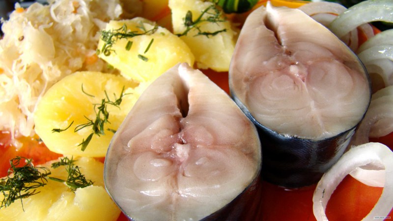 Кефаль сельдь скумбрия