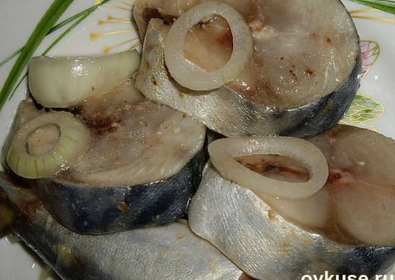 Посол скумбрии