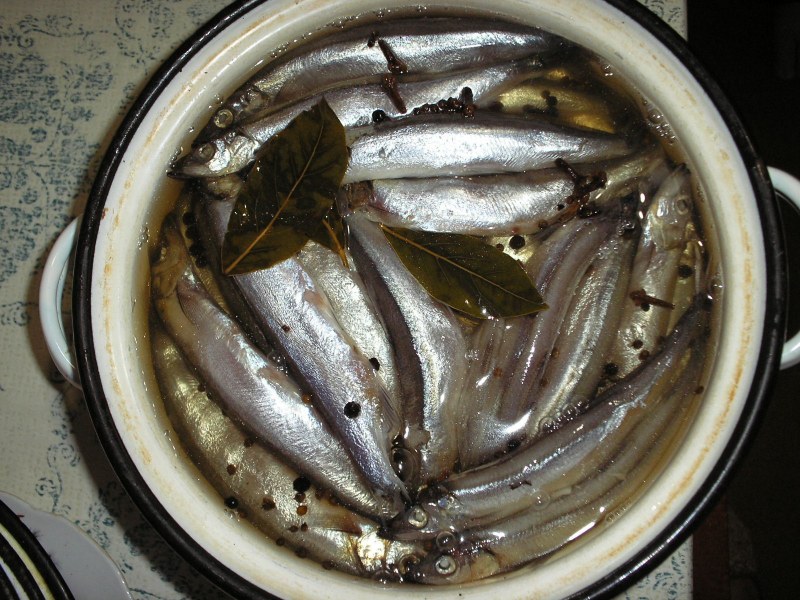 Засолка скумбрии
