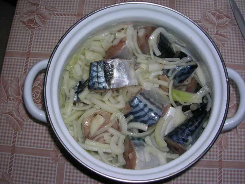 Мурманский посол скумбрия