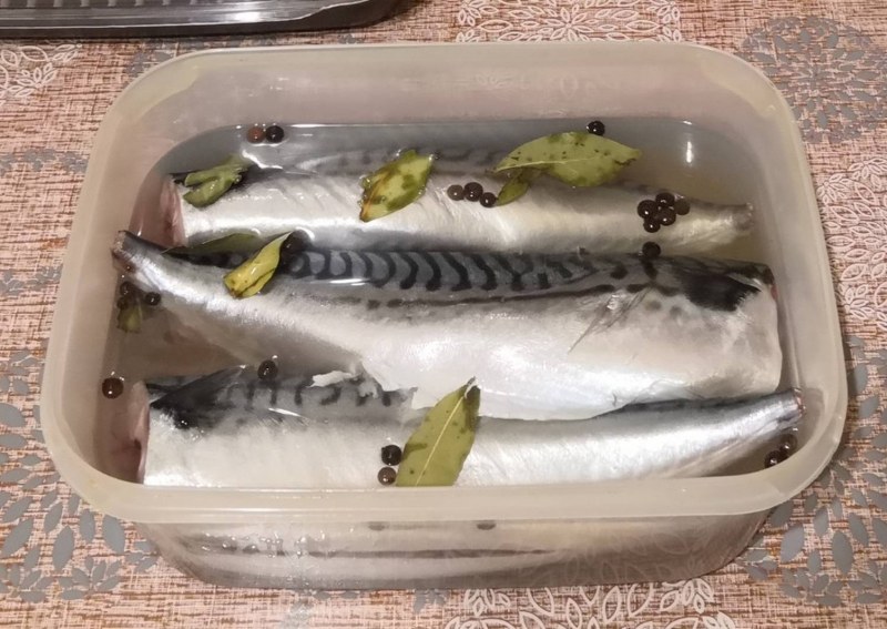 Скумбрия слабосоленая в домашних условиях очень вкусная