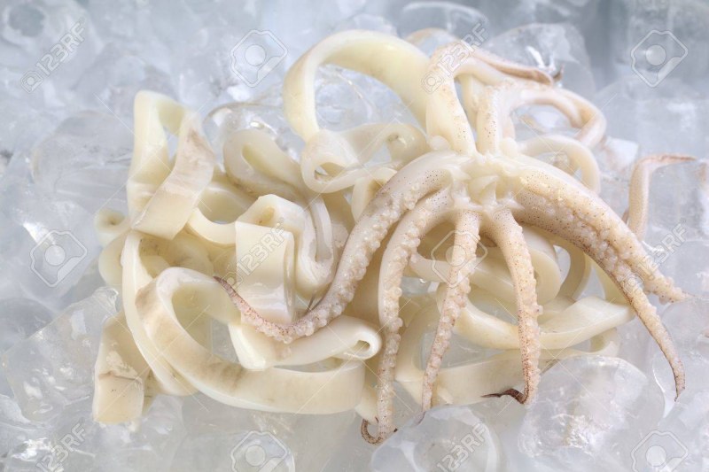 Щупальца кальмара сырые