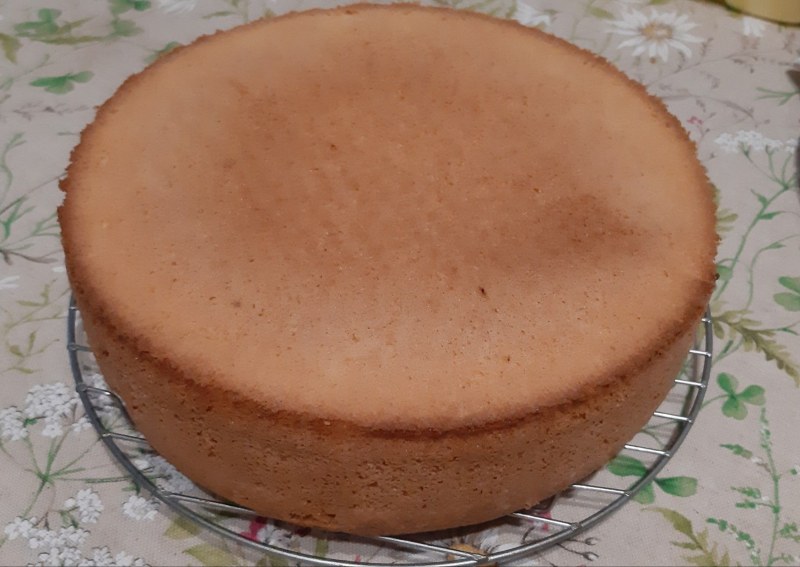 Мокрый бисквит 18