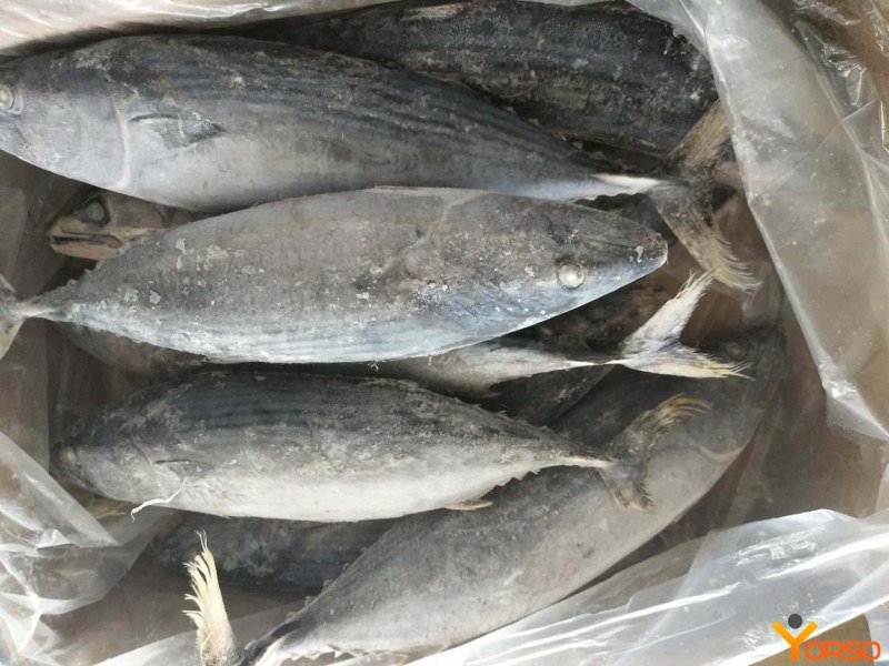 Строганина из рыбы