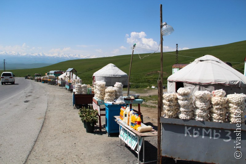 Суусамыр Куруты
