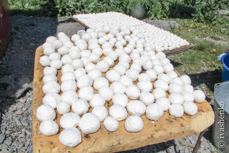 Курут киргизский