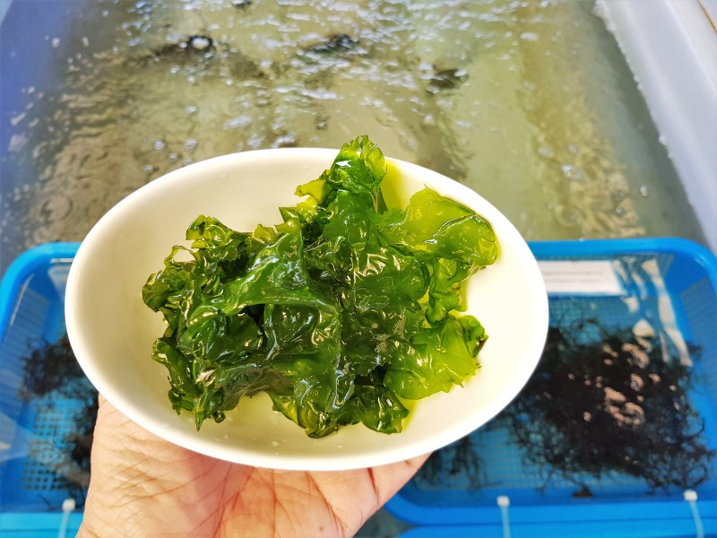 Водоросли морские сушеные Wakame Вэй Ван 100 г