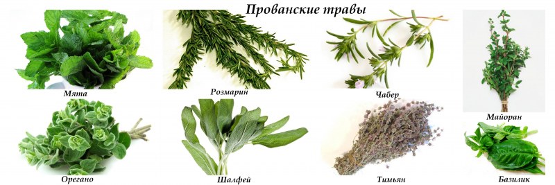 Зелень в горшке "розмарин"