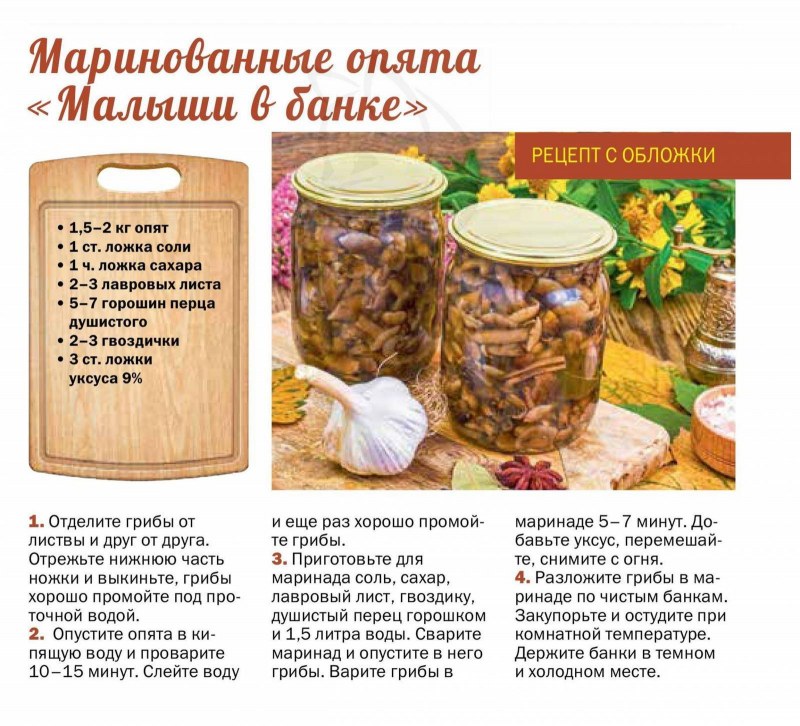 Грибная икра из опят