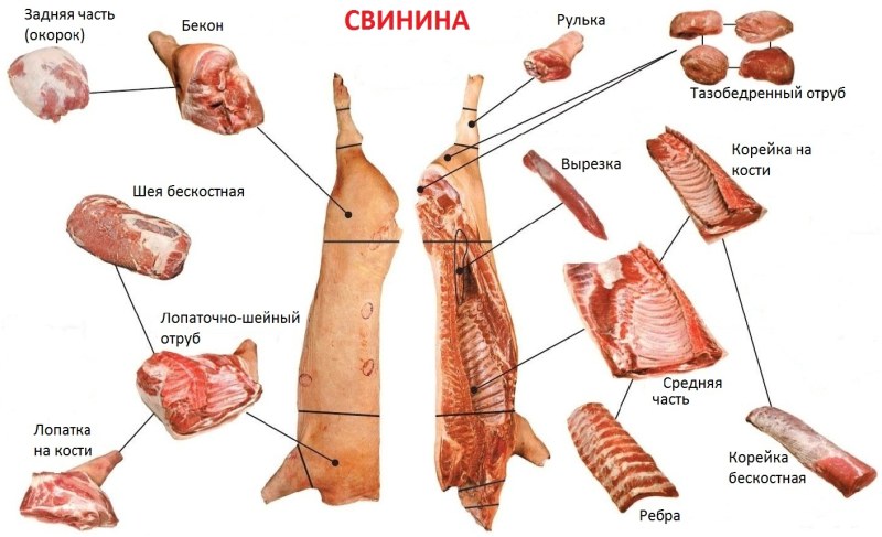 Кусок мяса на белом фоне