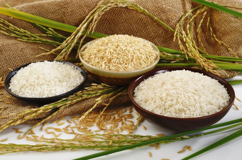 Рисовая крупа злаковая культура
