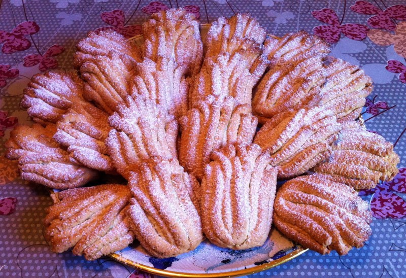 Ель скалка