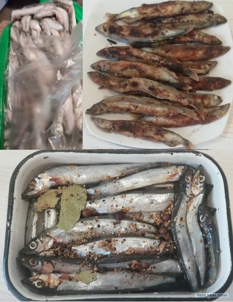Мелкая соленая рыба