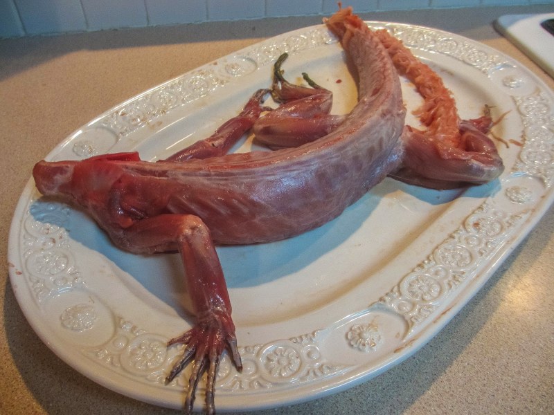Португалия морской деликатес