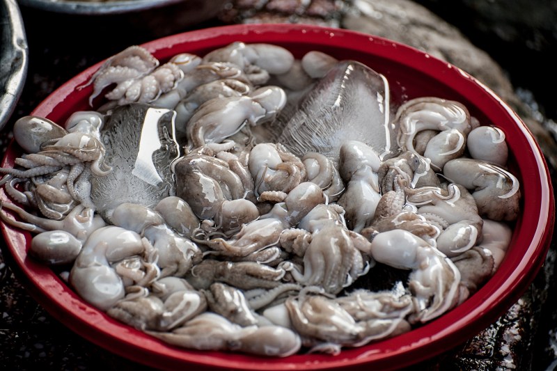 Китайские морепродукты