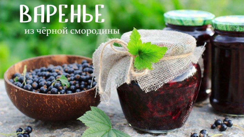 Черная смородина варенье